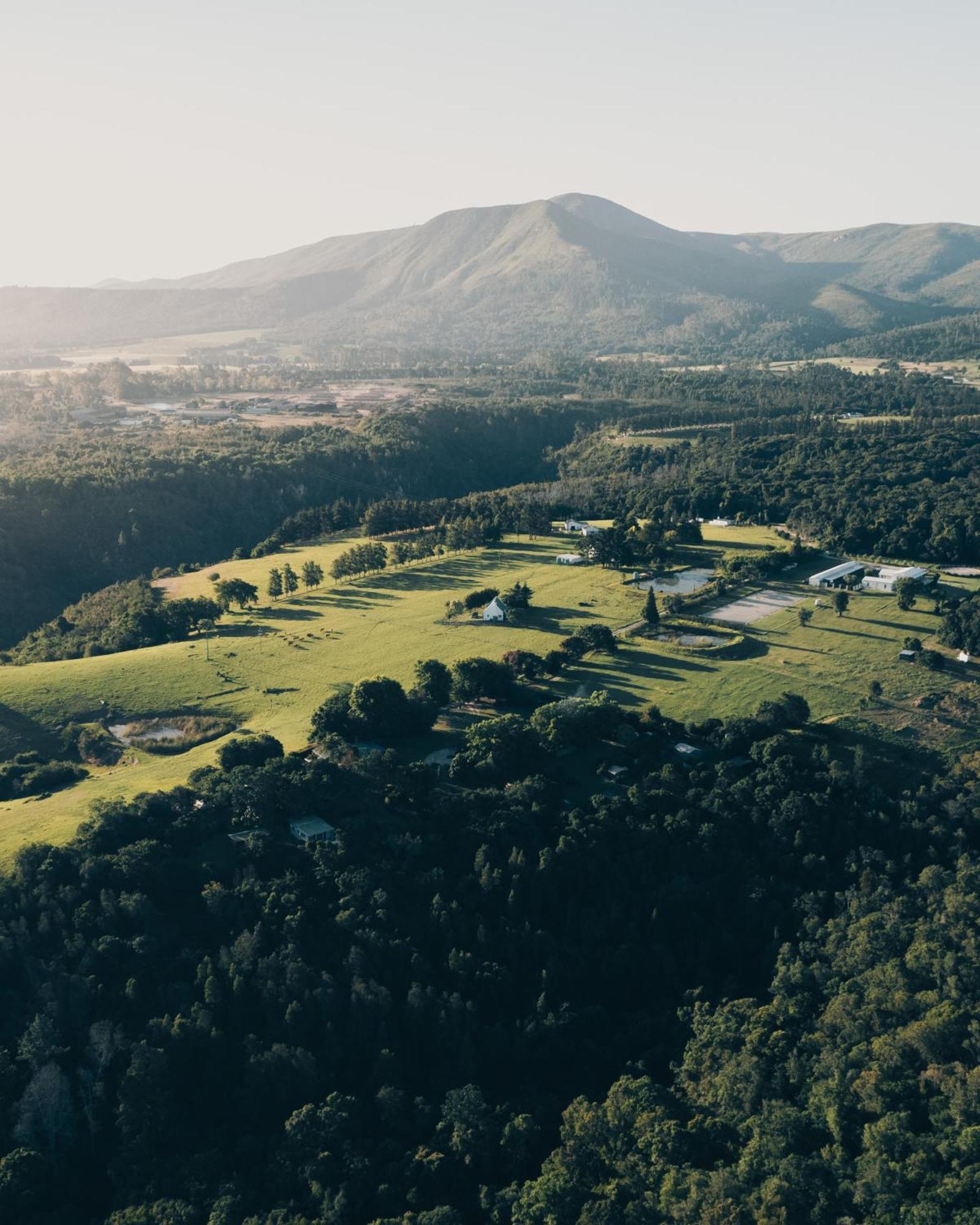 Firefly Falls Plettenberg Bay Zewnętrze zdjęcie