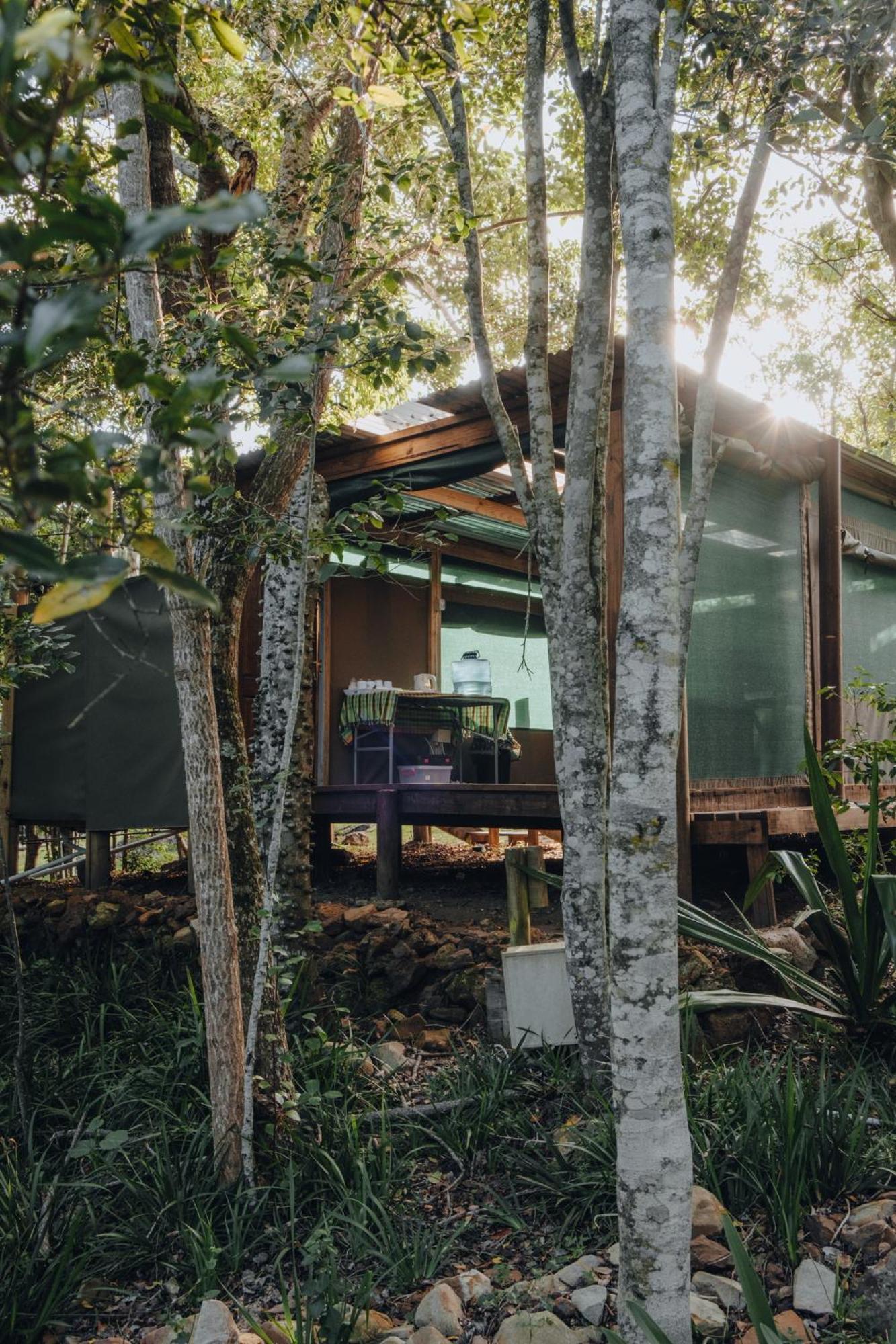 Firefly Falls Plettenberg Bay Zewnętrze zdjęcie
