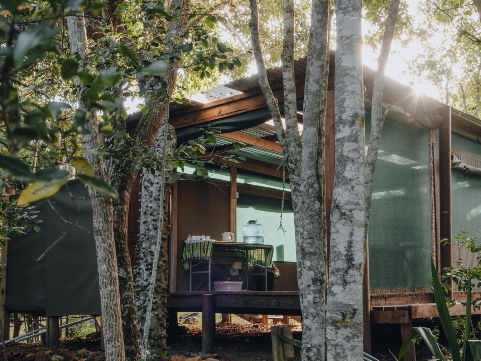 Firefly Falls Plettenberg Bay Zewnętrze zdjęcie