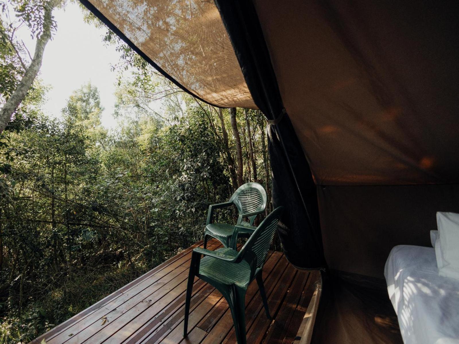 Firefly Falls Plettenberg Bay Zewnętrze zdjęcie