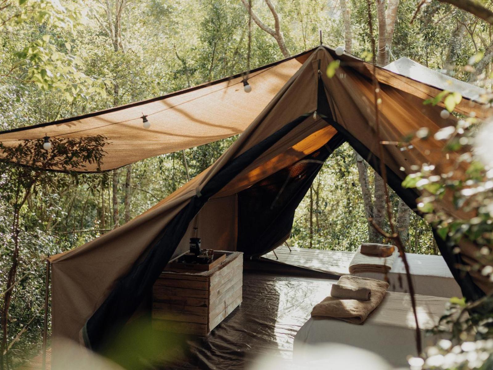 Firefly Falls Plettenberg Bay Zewnętrze zdjęcie