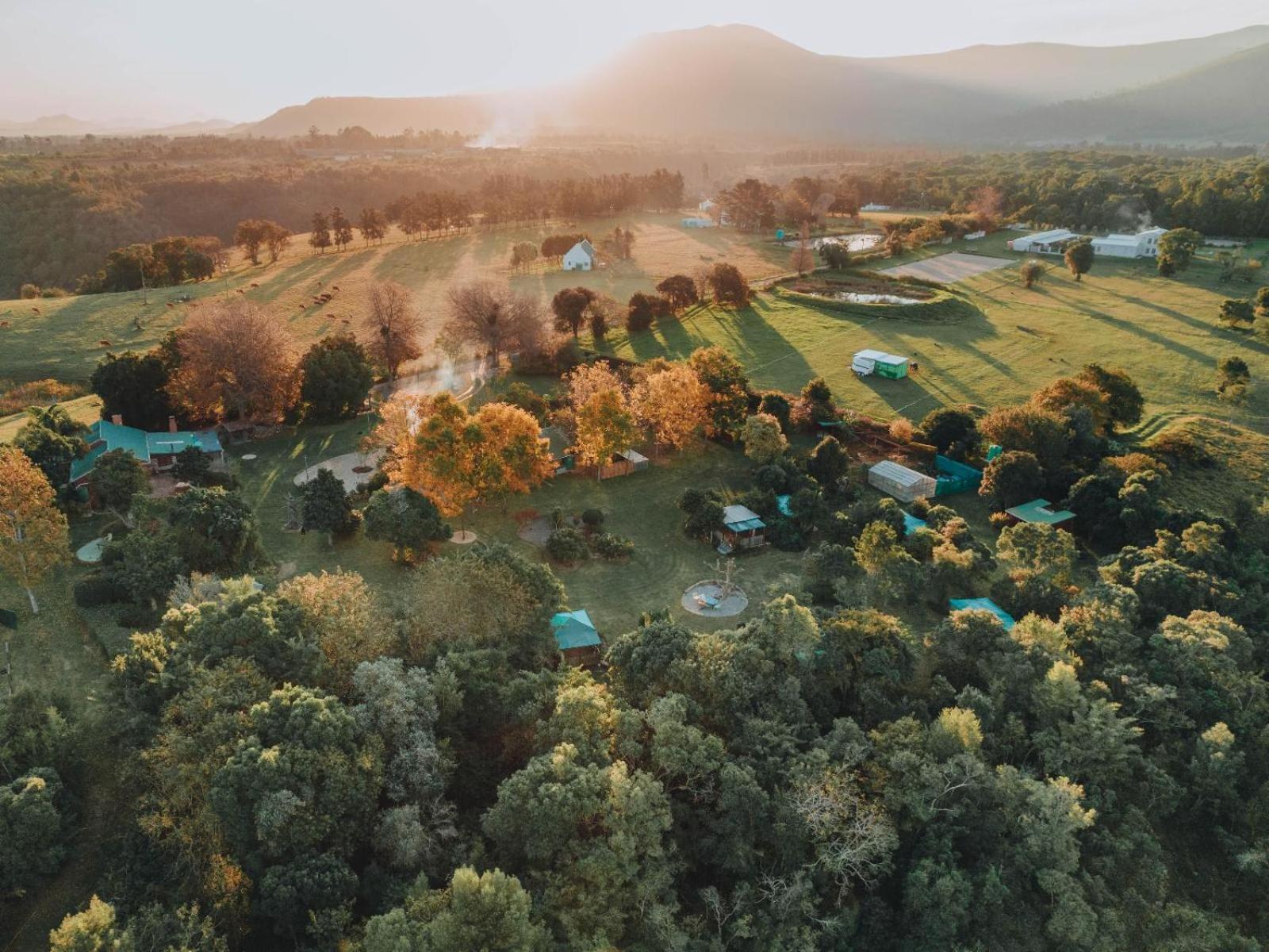 Firefly Falls Plettenberg Bay Zewnętrze zdjęcie